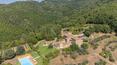 Toscana Immobiliare - Agriturismo con piscina e terreni  in vendita ad Arezzo