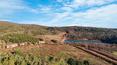 Toscana Immobiliare - Enchanting hamlet for sale in the province of Siena