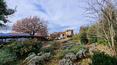 Toscana Immobiliare - Farmhouse for sale in Arezzo Tuscany