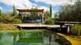 Toscana Immobiliare -