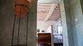 Toscana Immobiliare -