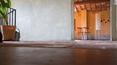 Toscana Immobiliare -
