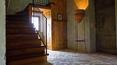 Toscana Immobiliare -