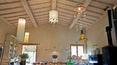 Toscana Immobiliare -