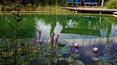 Toscana Immobiliare -
