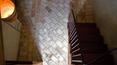 Toscana Immobiliare -