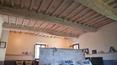 Toscana Immobiliare -