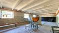 Toscana Immobiliare -