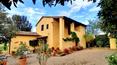 Toscana Immobiliare - 18th century farmhouse with panoramic views and olive grove in Tuscany