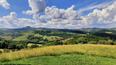 Toscana Immobiliare -