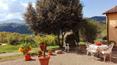 Toscana Immobiliare - Villas and farmhouses in Tuscany