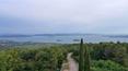 Toscana Immobiliare - The property is immersed in an enclosed natural park of about 1 hectare