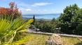 Toscana Immobiliare - La proprietà è immersa in un parco naturale recintato di circa 1 ettaro