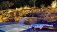 Toscana Immobiliare - Elegante casale con dépendance, piscina e jacuzzi, circondato da 28 ha di terreno e panorami mozzafiato