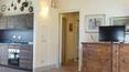 Toscana Immobiliare - Villas y casas de campo en venta en Toscana