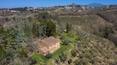 Toscana Immobiliare -