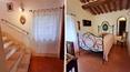 Toscana Immobiliare - Masía restaurada con 3 ha de terreno y olivar en venta cerca de las termas de San Casciano dei Bagni
