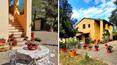 Toscana Immobiliare - Casale ristrutturato con 3 ha di terreno e uliveto in vendita vicino alle terme di San Casciano dei Bagni, Toscana