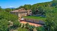 Toscana Immobiliare - Podere con 12 ettari di vigneti, cantina, villa, dépendance e piscina in vendita vicino Arezzo, in Toscana.