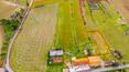 Toscana Immobiliare - Azienda agricola in vendita a Lucignano Arezzo