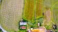 Toscana Immobiliare - Azienda agricola in vendita a Lucignano Arezzo