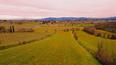 Toscana Immobiliare - Azienda agricola in vendita a Lucignano Arezzo