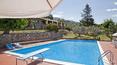 Toscana Immobiliare - Holiday farm with restaurant for sale in Reggello Florence Tuscany