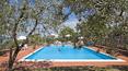 Toscana Immobiliare - Holiday farm with restaurant for sale in Reggello Florence Tuscany