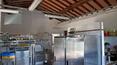 Toscana Immobiliare - Agriturismo con casale, vari annessi, ristorante, piscina e 8 ha di terreno in vendita in posizione panoramica a Reggello, vicino Firenze, Toscana