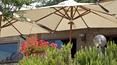 Toscana Immobiliare - Agriturismo con casale, vari annessi, ristorante, piscina e 8 ha di terreno in vendita in posizione panoramica a Reggello, vicino Firenze, Toscana