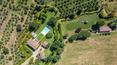 Toscana Immobiliare - Panoramic villa with pool, annexes and 12.9 ha of olive grove and arable land for sale in Arezzo, Tuscany