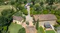 Toscana Immobiliare - Villa with agricultural land and olive grove for sale in a beautiful hillside location