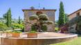 Toscana Immobiliare - I 12,9 ettari della proprietà si estendono su una dolce collina e sono suddivisi in oliveto e seminativo