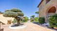 Toscana Immobiliare - Il laghetto artificiale, creato con scopi estetici e per relax, può anche essere utilizzato per l’irrigazione