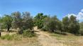 Toscana Immobiliare - Tuscan Country houses for sale Pergine Valdarno Arezzo Tuscany