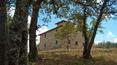 Toscana Immobiliare - Rustici casali in vendita a Laterina Pergine Valdarno Arezzo
