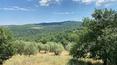 Toscana Immobiliare - Tuscan Country houses for sale Pergine Valdarno Arezzo Tuscany