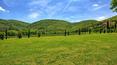 Toscana Immobiliare - Luxury Real Estate in Cortona Tuscany. On sale villa in Cortona with swimming pool, dependance