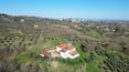Toscana Immobiliare - Casale toscano con vista panoramica e 8 ha di terreno a Sinalunga