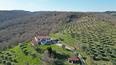 Toscana Immobiliare - The farmhouse is divided into two independent flats