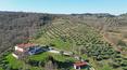 Toscana Immobiliare - Affascinante casale con due appartamenti, annessi e 8 ha di terreno in vendita tra le colline toscane