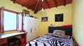 Toscana Immobiliare - Villas y masías restauradas en venta en la Toscana