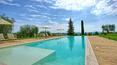Toscana Immobiliare - Wine estate with cellar and farmhouse for sale in Tuscany Siena