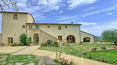 Toscana Immobiliare - Wine estate with cellar and farmhouse for sale in Tuscany Siena