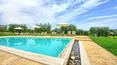 Toscana Immobiliare - Farm with wine production for sale in Siena area Tuscany