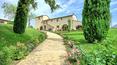 Toscana Immobiliare - Farm with wine production for sale in Siena area Tuscany