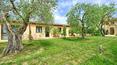 Toscana Immobiliare - Wine estate with cellar and farmhouse for sale in Tuscany Siena