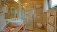 Toscana Immobiliare - Wine estate with cellar and farmhouse for sale in Tuscany Siena