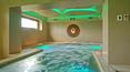 Toscana Immobiliare - Farm with wine production for sale in Siena area Tuscany