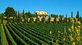 Toscana Immobiliare - Farm with wine production for sale in Siena area Tuscany